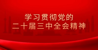學習貫徹落實黨的二十屆三中全會精神